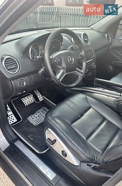 Позашляховик / Кросовер Mercedes-Benz M-Class 2009 в 