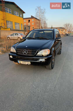 Внедорожник / Кроссовер Mercedes-Benz M-Class 2003 в 