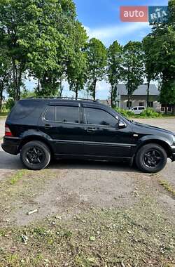 Внедорожник / Кроссовер Mercedes-Benz M-Class 1999 в 