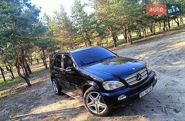 Внедорожник / Кроссовер Mercedes-Benz M-Class 2003 в 
