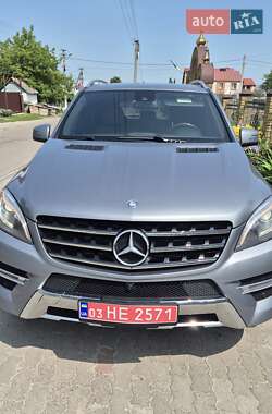Внедорожник / Кроссовер Mercedes-Benz M-Class 2013 в 