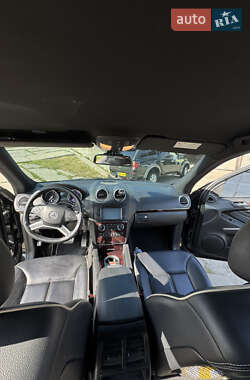 Внедорожник / Кроссовер Mercedes-Benz M-Class 2010 в 