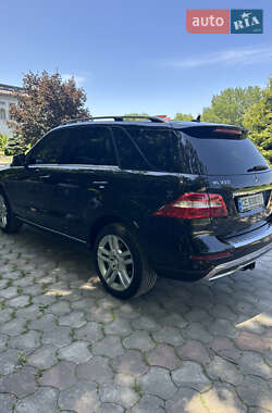 Внедорожник / Кроссовер Mercedes-Benz M-Class 2013 в 