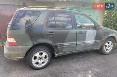 Позашляховик / Кросовер Mercedes-Benz M-Class 2003 в Добропіллі