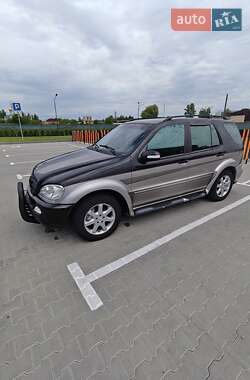 Внедорожник / Кроссовер Mercedes-Benz M-Class 2002 в 