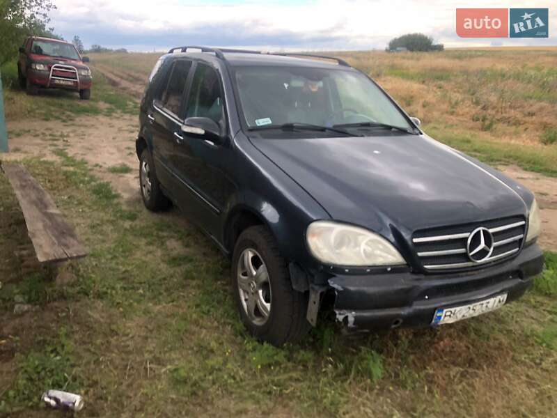Внедорожник / Кроссовер Mercedes-Benz M-Class 2002 в 