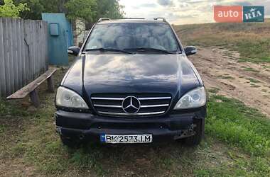 Внедорожник / Кроссовер Mercedes-Benz M-Class 2002 в 
