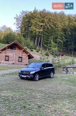 Внедорожник / Кроссовер Mercedes-Benz M-Class 2013 в 