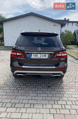 Позашляховик / Кросовер Mercedes-Benz M-Class 2013 в 