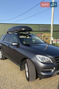 Позашляховик / Кросовер Mercedes-Benz M-Class 2013 в 