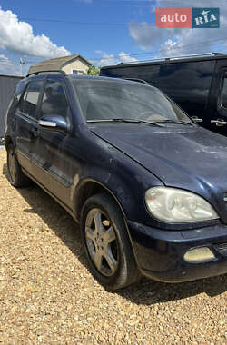 Внедорожник / Кроссовер Mercedes-Benz M-Class 2001 в 