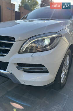 Позашляховик / Кросовер Mercedes-Benz M-Class 2013 в 