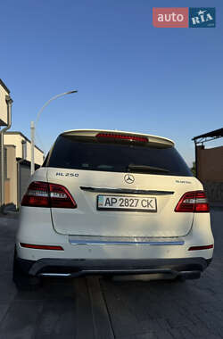 Позашляховик / Кросовер Mercedes-Benz M-Class 2013 в 