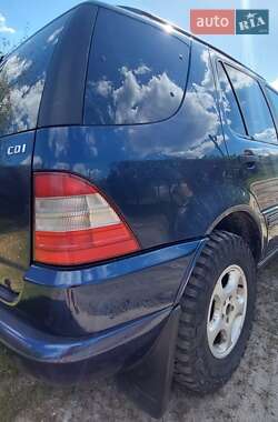 Внедорожник / Кроссовер Mercedes-Benz M-Class 2001 в 