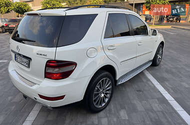 Внедорожник / Кроссовер Mercedes-Benz M-Class 2009 в 
