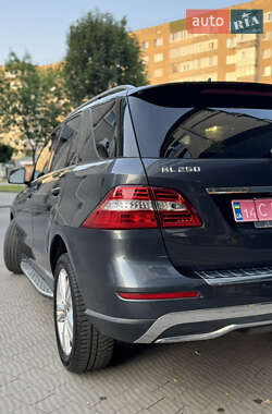 Внедорожник / Кроссовер Mercedes-Benz M-Class 2014 в 