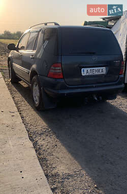 Внедорожник / Кроссовер Mercedes-Benz M-Class 2001 в 