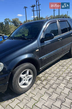 Внедорожник / Кроссовер Mercedes-Benz M-Class 2001 в 