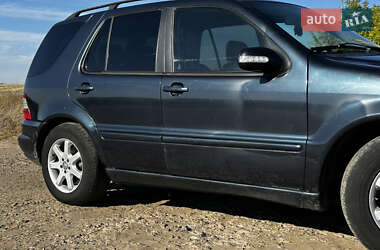Внедорожник / Кроссовер Mercedes-Benz M-Class 2002 в 