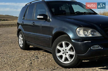 Внедорожник / Кроссовер Mercedes-Benz M-Class 2002 в 