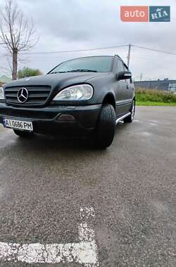 Внедорожник / Кроссовер Mercedes-Benz M-Class 2003 в 