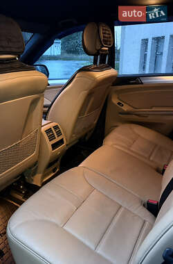 Внедорожник / Кроссовер Mercedes-Benz M-Class 2010 в 