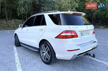 Внедорожник / Кроссовер Mercedes-Benz M-Class 2013 в 