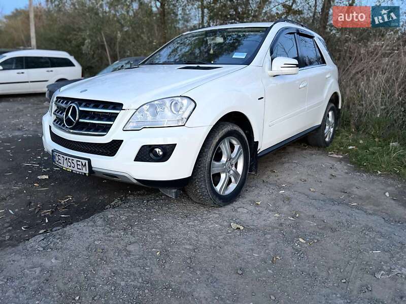 Mercedes-Benz M-Class 2010