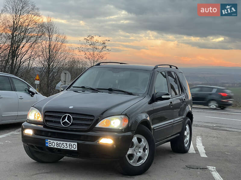 Mercedes-Benz M-Class 2001 Mercedes-Benz M-Class 2001