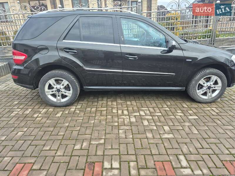 Mercedes-Benz M-Class 2010 Mercedes-Benz M-Class 2010