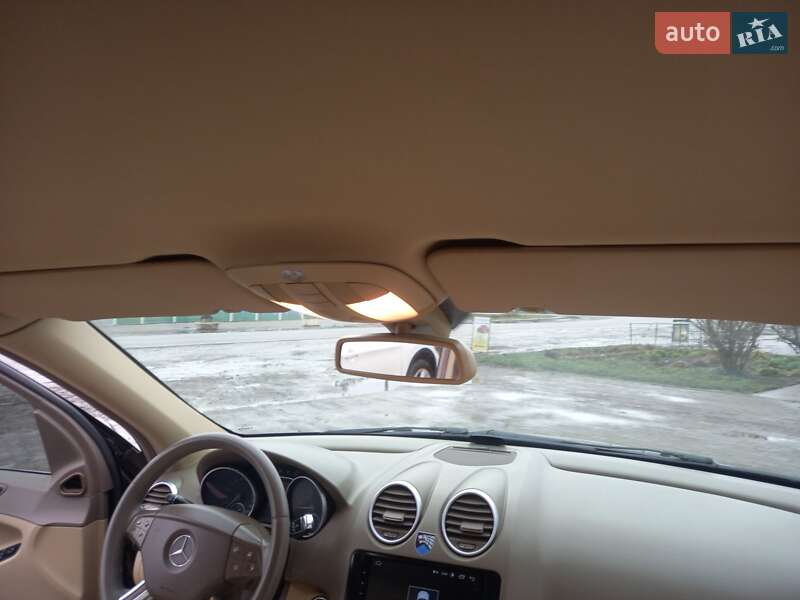 Внедорожник / Кроссовер Mercedes-Benz M-Class 2006 в Теофиполе