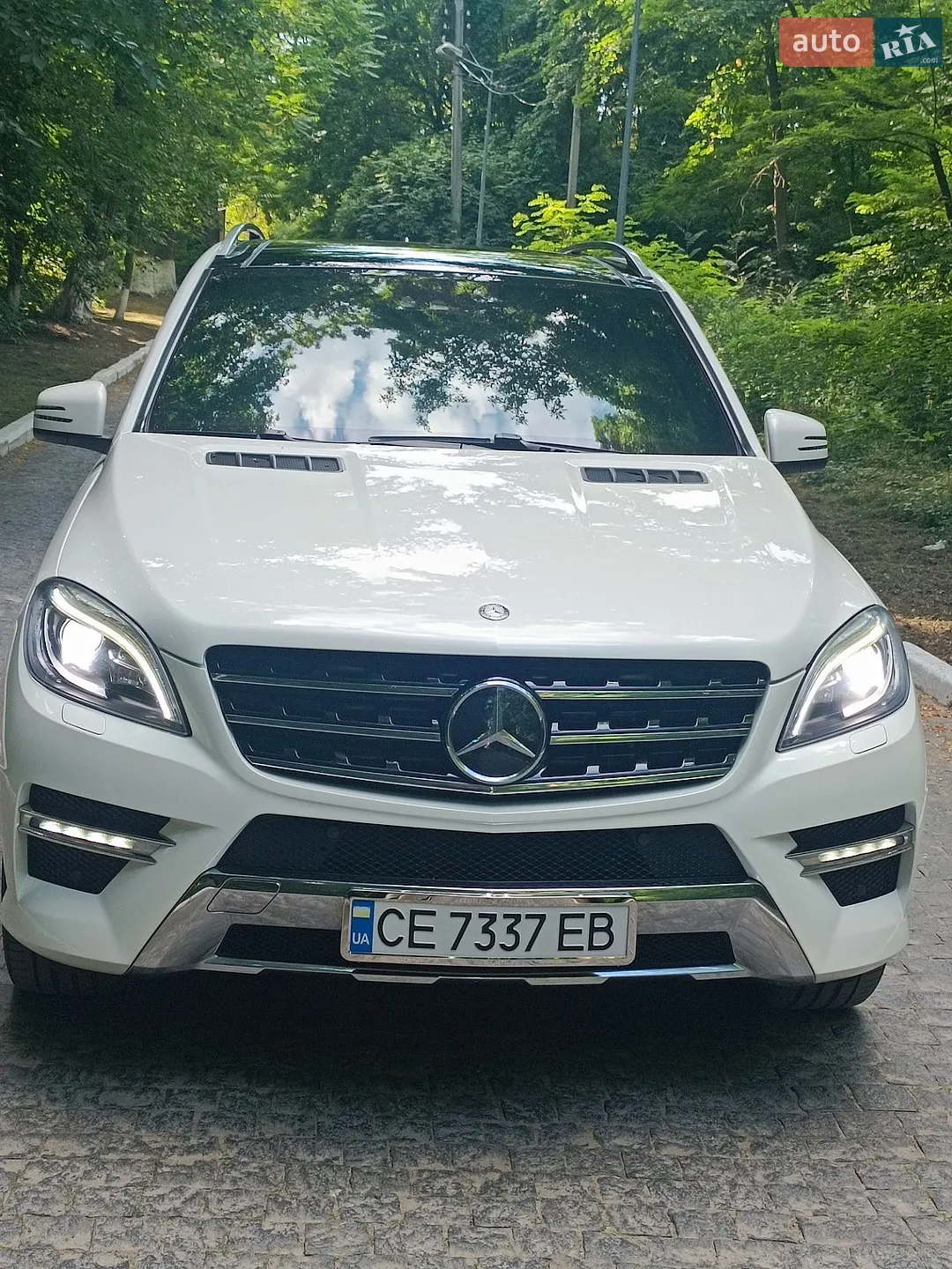 2013 Mercedes-Benz M-klasse - мініатюра 4