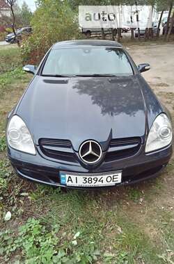 Родстер Mercedes-Benz SLK-Class 2004 в Києві