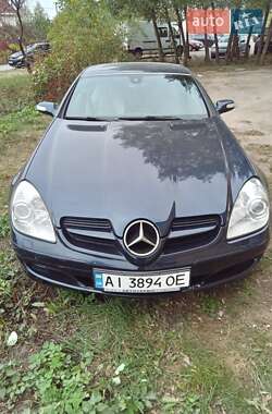 Родстер Mercedes-Benz SLK-Class 2004 в 