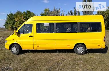 Микроавтобус Mercedes-Benz Sprinter 1996 в Кривом Роге