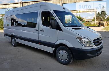 Микроавтобус Mercedes-Benz Sprinter 2010 в Хмельницком