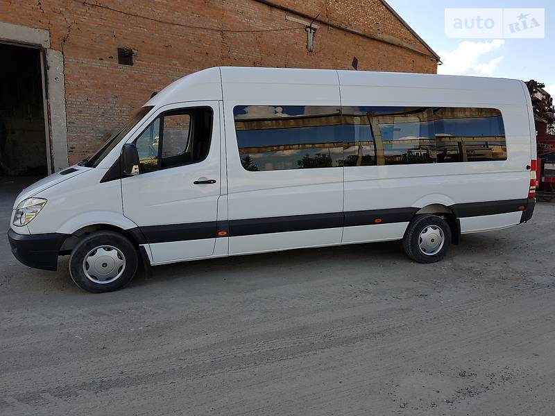 Микроавтобус Mercedes-Benz Sprinter 2010 в Хмельницком