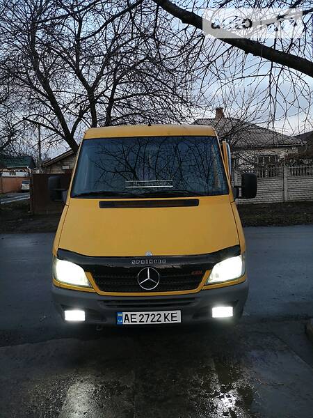 Микроавтобус Mercedes-Benz Sprinter 2004 в Кривом Роге