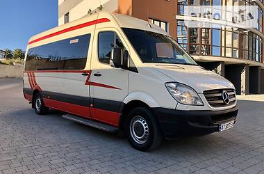 Микроавтобус Mercedes-Benz Sprinter 2009 в 