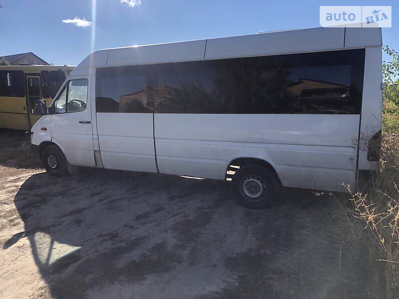 Микроавтобус Mercedes-Benz Sprinter 2001 в Полтаве