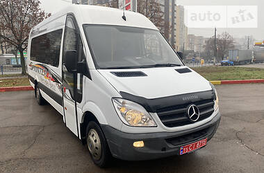 Микроавтобус Mercedes-Benz Sprinter 2011 в Житомире