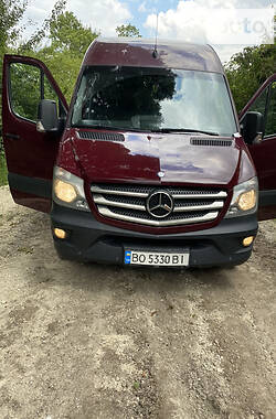 Микроавтобус Mercedes-Benz Sprinter 2014 в 
