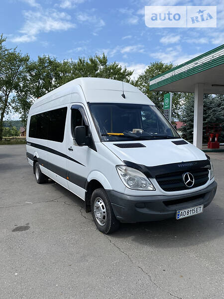 Микроавтобус Mercedes-Benz Sprinter 2009 в Тячеве