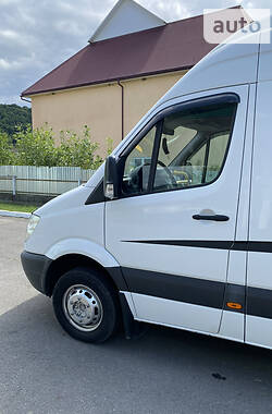 Микроавтобус Mercedes-Benz Sprinter 2009 в Тячеве