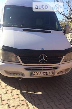 Мікроавтобус Mercedes-Benz Sprinter 2002 в Баштанці