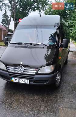 Микроавтобус Mercedes-Benz Sprinter 2006 в Бердичеве