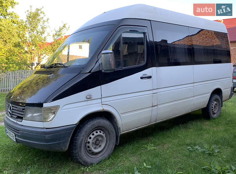 Микроавтобус Mercedes-Benz Sprinter 1995 в Бережанах