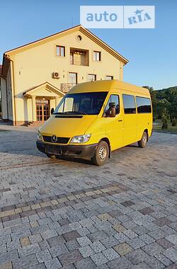 Мікроавтобус Mercedes-Benz Sprinter 2004 в Сваляві