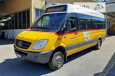 Микроавтобус Mercedes-Benz Sprinter 2013 в Хмельницком