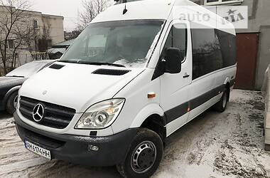 Микроавтобус Mercedes-Benz Sprinter 2009 в Житомире